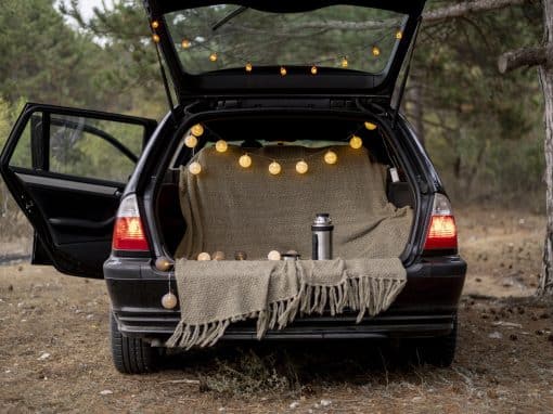 Budget-Friendly Stops And Hidden Gems For Your Festive Road trips    