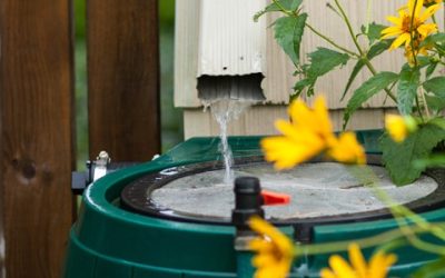 The Preppers Guide To Water-Shedding