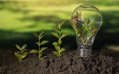 Understanding Energy And Carbon Ratings For Homes In South Africa  